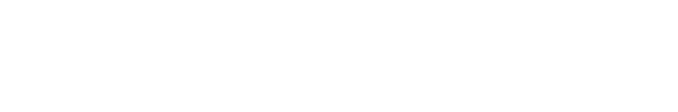 TriVision