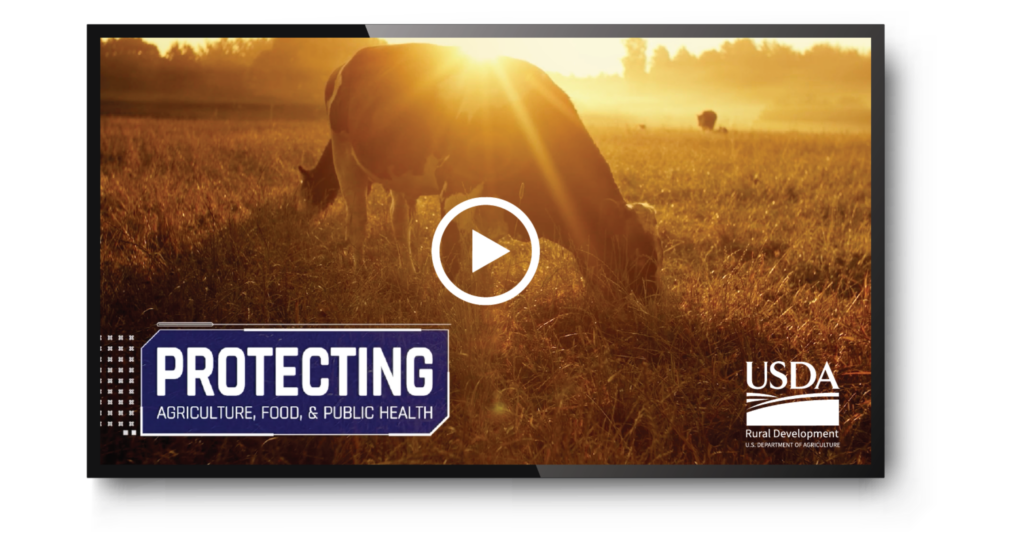 video marketing